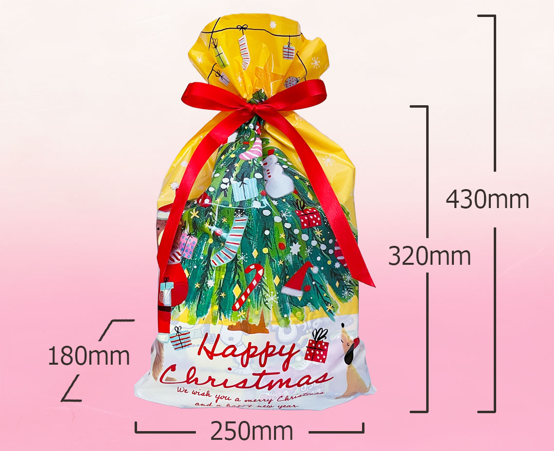 クリスマスおかし詰め合わせ【D】